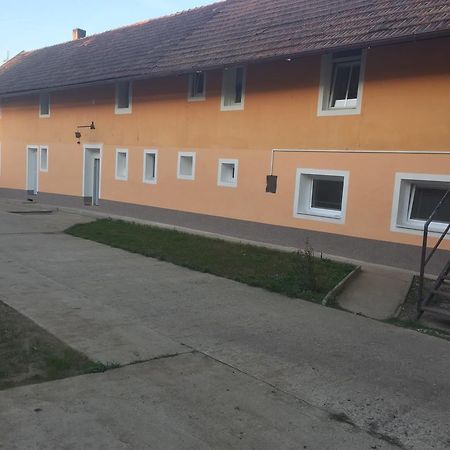 Ubytovani Fish-Com Apartment Steti Luaran gambar